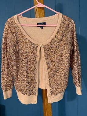 American Eagle Outfitters Blush Pink Sequin Cardigan
